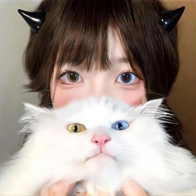 拳影人生